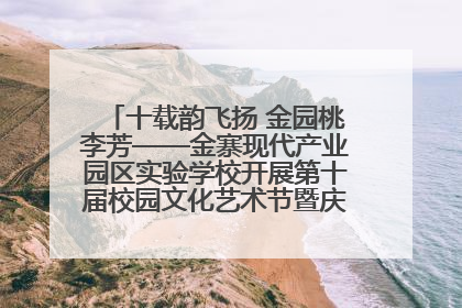 十载韵飞扬 金园桃李芳——金寨现代产业园区实验学校开展第十届校园文化艺术节暨庆“六一”系列活动