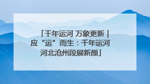 千年运河 万象更新｜应“运”而生：千年运河河北沧州段展新颜