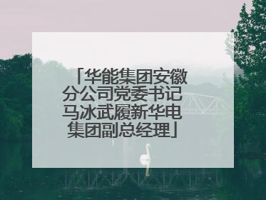 华能集团安徽分公司党委书记马冰武履新华电集团副总经理