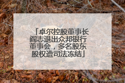 卓尔控股董事长阎志退出众邦银行董事会，多名股东股权遭司法冻结