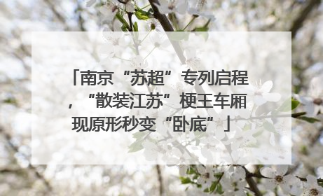 南京“苏超”专列启程，“散装江苏”梗王车厢现原形秒变“卧底”