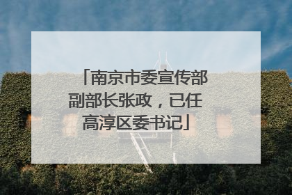 南京市委宣传部副部长张政，已任高淳区委书记