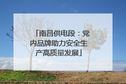 南昌供电段：党内品牌助力安全生产高质量发展