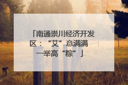 南通崇川经济开发区：“艾”意满满 一举高“粽”