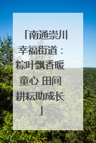 南通崇川幸福街道：粽叶飘香暖童心 田间耕耘助成长