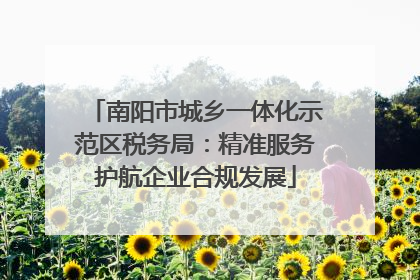 南阳市城乡一体化示范区税务局：精准服务护航企业合规发展