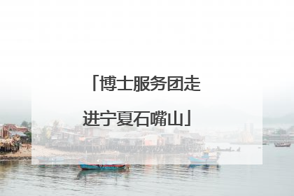 博士服务团走进宁夏石嘴山