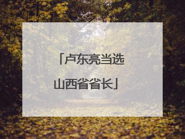 卢东亮当选山西省省长