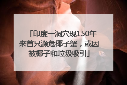 印度一洞穴现150年来首只濒危椰子蟹，或因被椰子和垃圾吸引