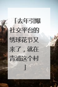 去年引爆社交平台的绣球花节又来了，就在青浦这个村