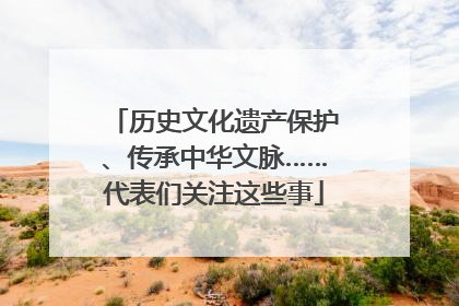 历史文化遗产保护、传承中华文脉……代表们关注这些事