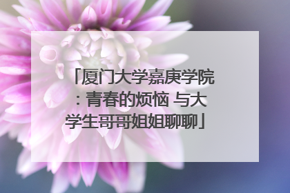 厦门大学嘉庚学院：青春的烦恼 与大学生哥哥姐姐聊聊