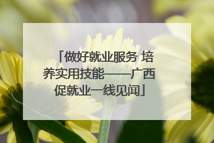 做好就业服务 培养实用技能——广西促就业一线见闻