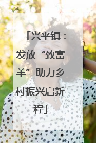 兴平镇：发放“致富羊”助力乡村振兴启新程