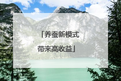 养蚕新模式带来高收益