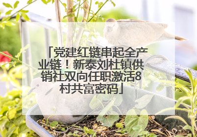 党建红链串起全产业链！新泰刘杜镇供销社双向任职激活8村共富密码
