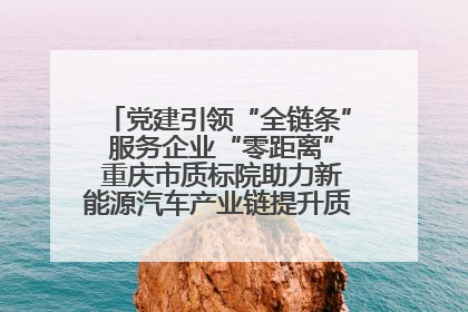 党建引领“全链条” 服务企业“零距离” 重庆市质标院助力新能源汽车产业链提升质量管理水平