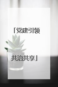 党建引领 共治共享