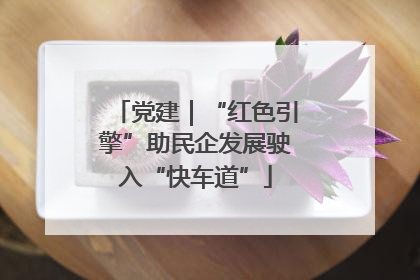 党建｜“红色引擎”助民企发展驶入“快车道”