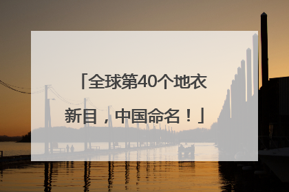 全球第40个地衣新目，中国命名！