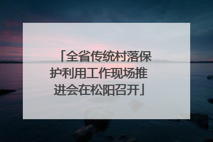 全省传统村落保护利用工作现场推进会在松阳召开