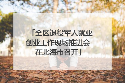 全区退役军人就业创业工作现场推进会在北海市召开