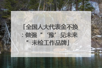 全国人大代表金不换：做强“‘豫’见未来”未检工作品牌