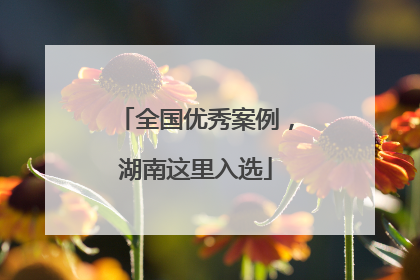 全国优秀案例，湖南这里入选