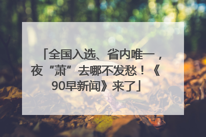 全国入选、省内唯一，夜“萧”去哪不发愁！《90早新闻》来了