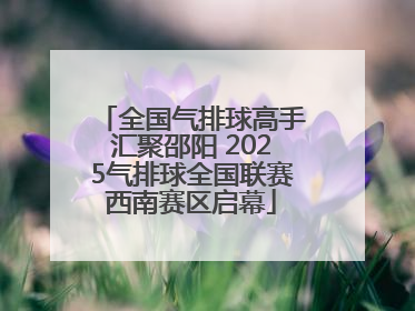 全国气排球高手汇聚邵阳 2025气排球全国联赛西南赛区启幕