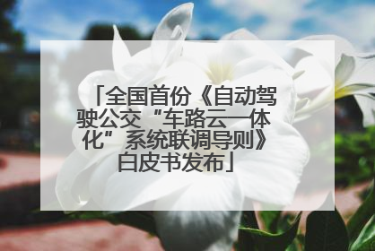 全国首份《自动驾驶公交“车路云一体化”系统联调导则》白皮书发布