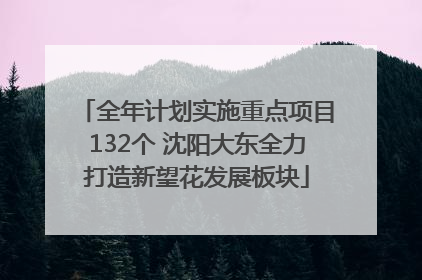 全年计划实施重点项目132个 沈阳大东全力打造新望花发展板块
