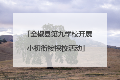 全椒县第九学校开展小初衔接探校活动