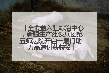 全覆盖入驻综治中心，新疆生产建设兵团第五师法院开启一扇门助力高速讨薪获赞