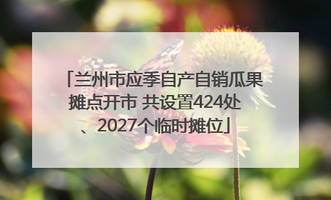 兰州市应季自产自销瓜果摊点开市 共设置424处、2027个临时摊位