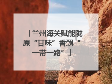 兰州海关赋能陇原“甘味”香飘“一带一路”