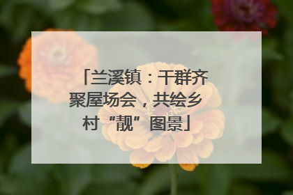 兰溪镇：干群齐聚屋场会，共绘乡村“靓”图景