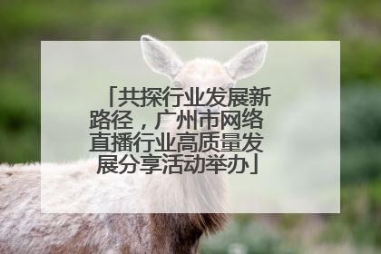共探行业发展新路径，广州市网络直播行业高质量发展分享活动举办