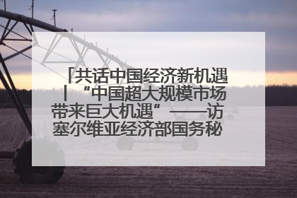 共话中国经济新机遇丨“中国超大规模市场带来巨大机遇”——访塞尔维亚经济部国务秘书尼科利奇
