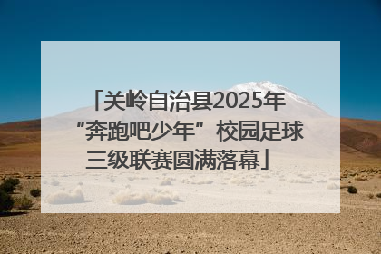 关岭自治县2025年“奔跑吧少年”校园足球三级联赛圆满落幕