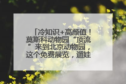 冷知识+高颜值！莫斯科动物园“顶流”来到北京动物园，这个免费展览，遛娃拍照两不误！