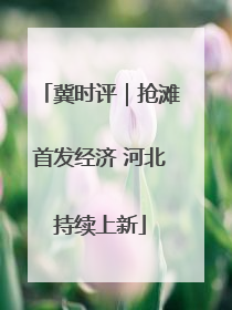 冀时评｜抢滩首发经济 河北持续上新