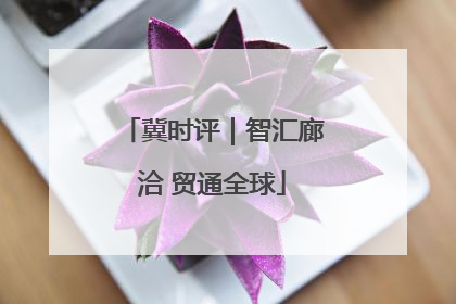 冀时评｜智汇廊洽 贸通全球