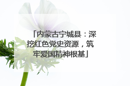 内蒙古宁城县：深挖红色党史资源，筑牢爱国精神根基