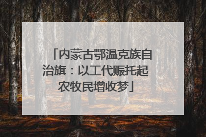 内蒙古鄂温克族自治旗：以工代赈托起农牧民增收梦