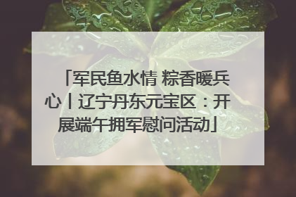 军民鱼水情 粽香暖兵心丨辽宁丹东元宝区：开展端午拥军慰问活动