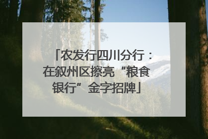 农发行四川分行：在叙州区擦亮“粮食银行”金字招牌