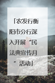 农发行衡阳市分行深入开展“民法典宣传月”活动