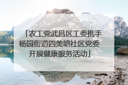 农工党武昌区工委携手杨园街道四美塘社区党委开展健康服务活动