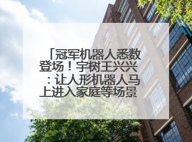 冠军机器人悉数登场！宇树王兴兴：让人形机器人马上进入家庭等场景并不现实